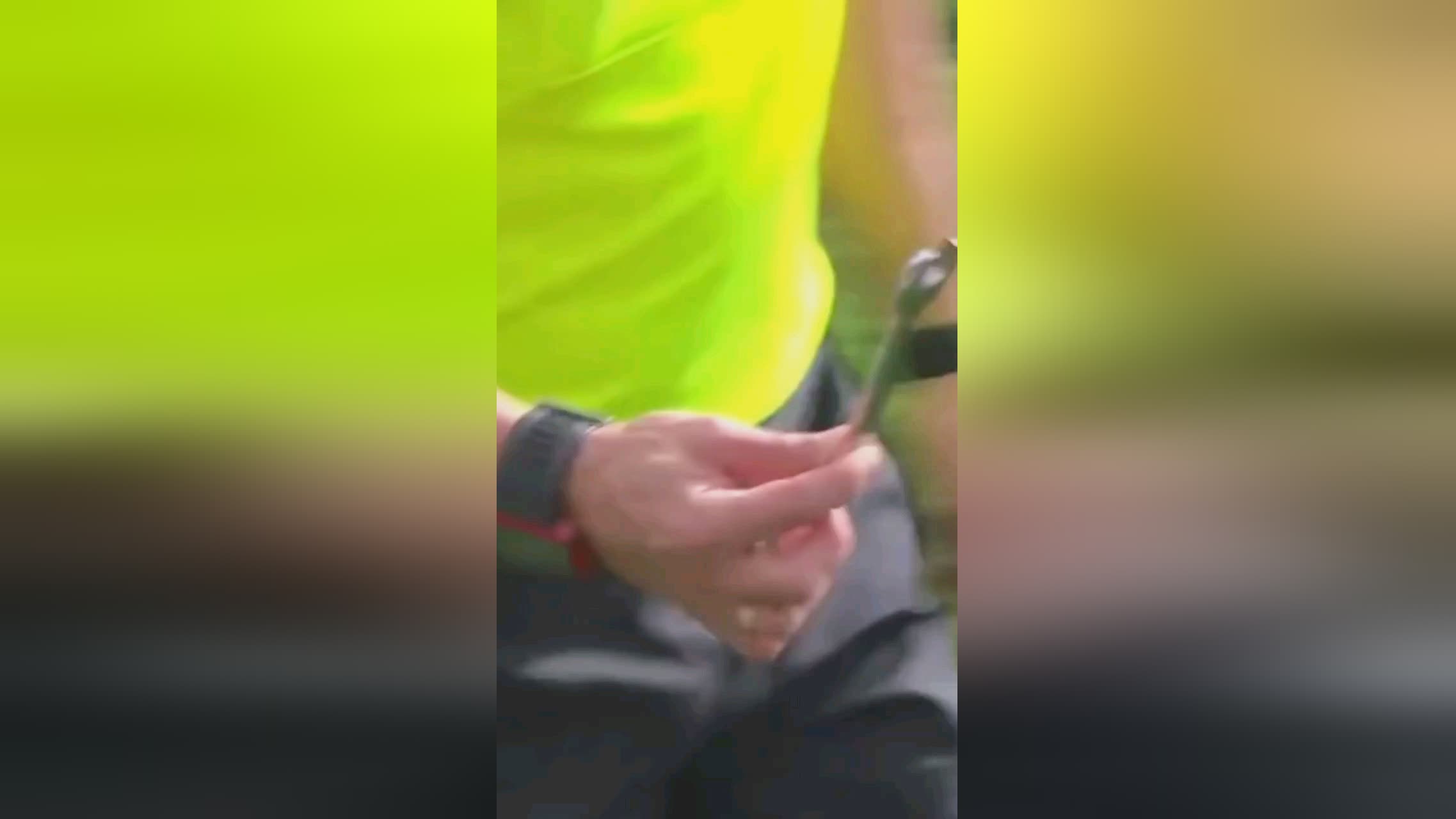 了几分看